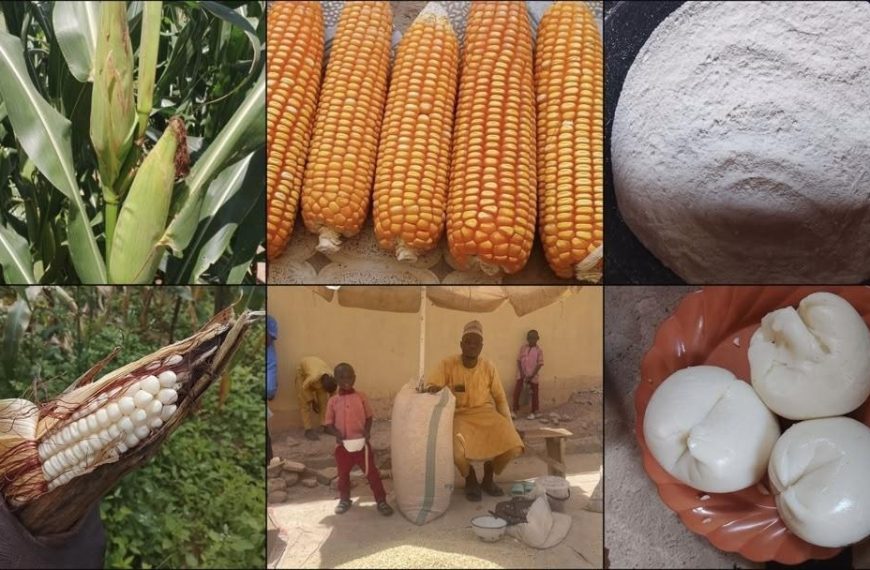 Unveiling the Food on Nigerian Tables: A Deep&hellip;