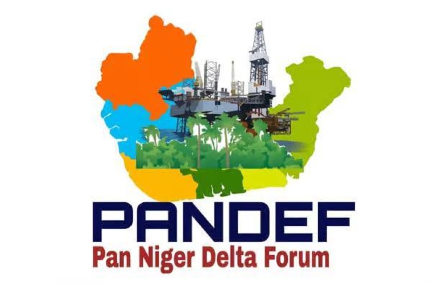 PANDEF Demands 50% of Crude Oil Revenue for Oil-Producing States